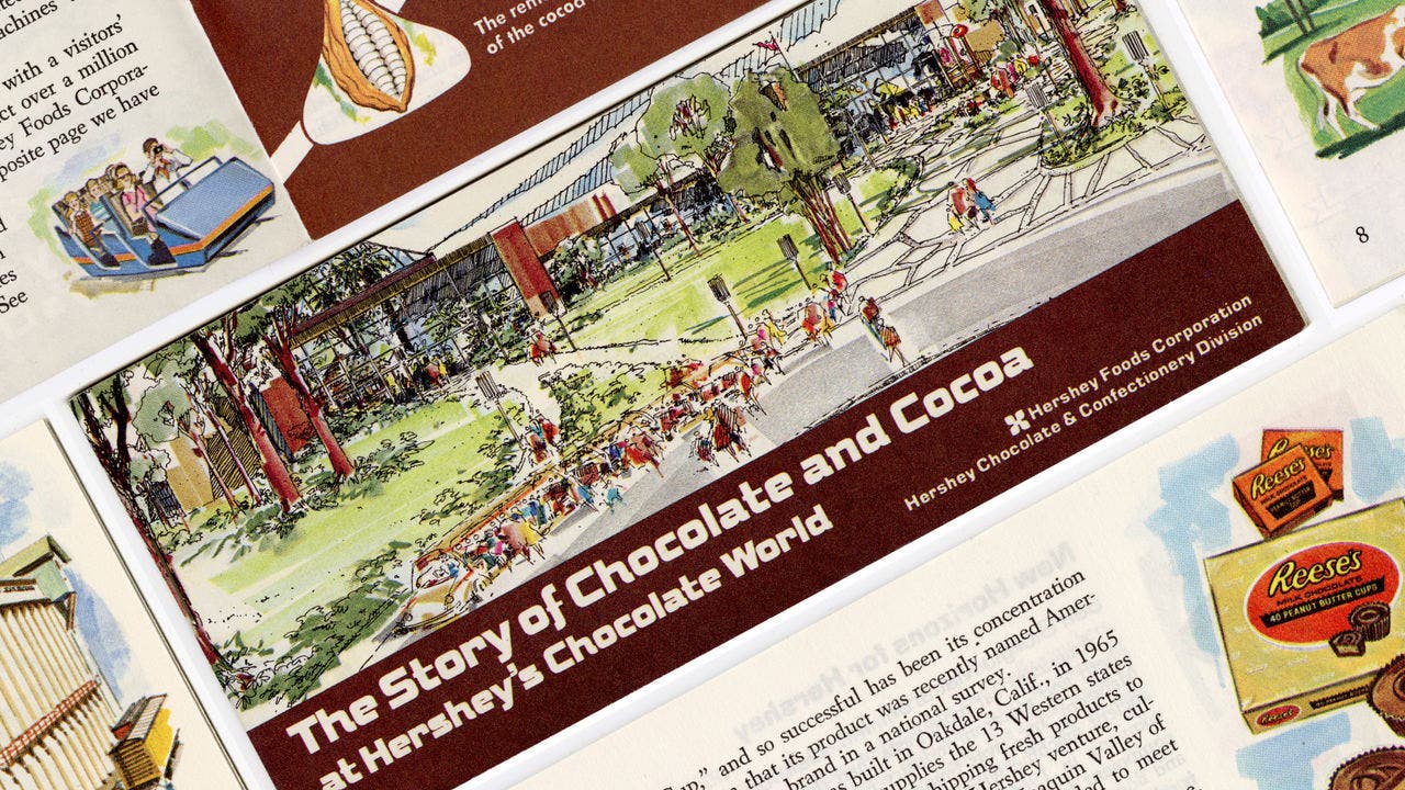 The Story of Chocolate and Cocoa