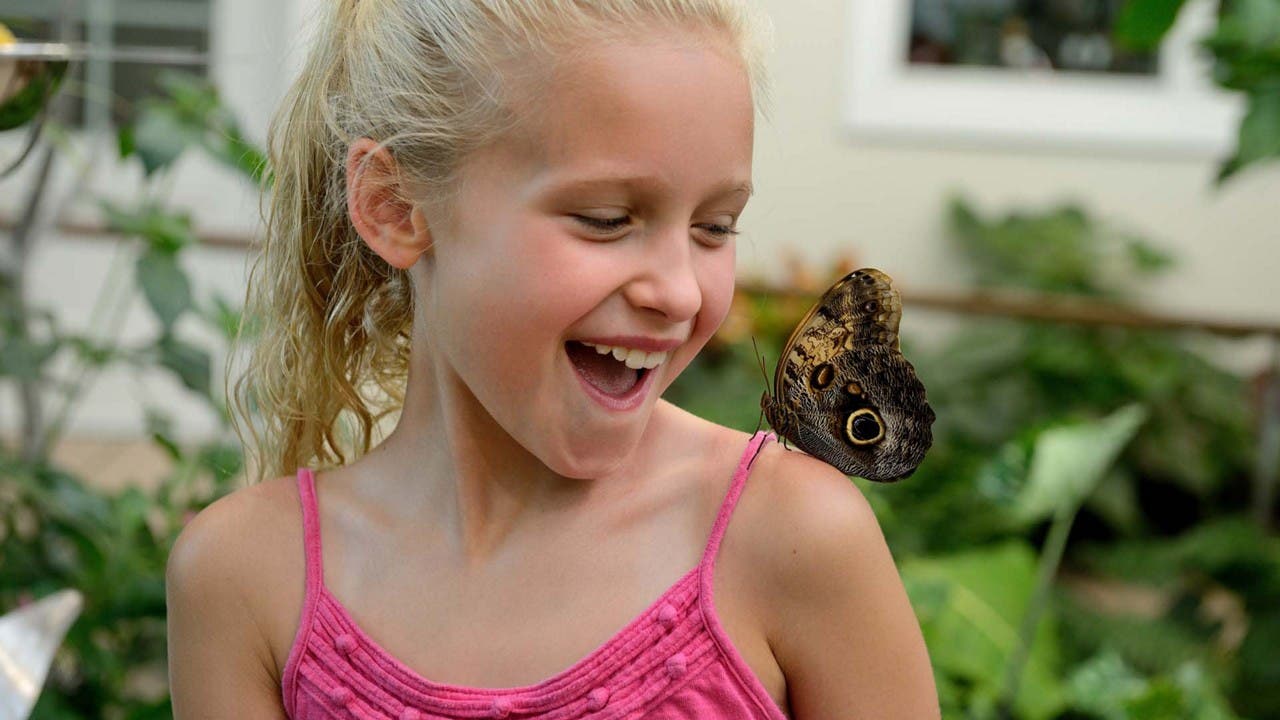 Child with butterfly on shoulder