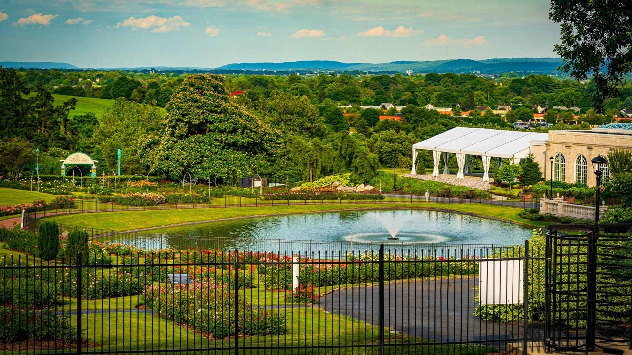 Pond and greenery