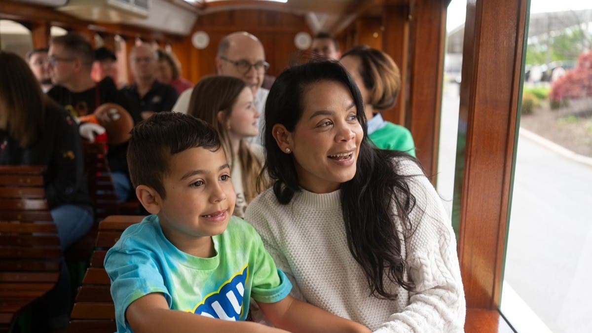Mom and son on trolley